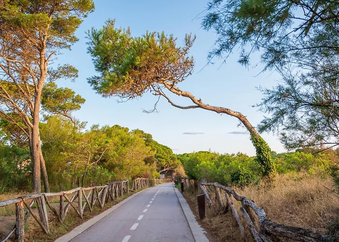 Sara Ля Эскала